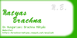 matyas brachna business card